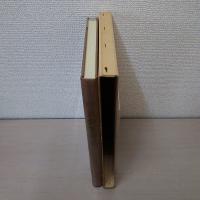 中元組百年史