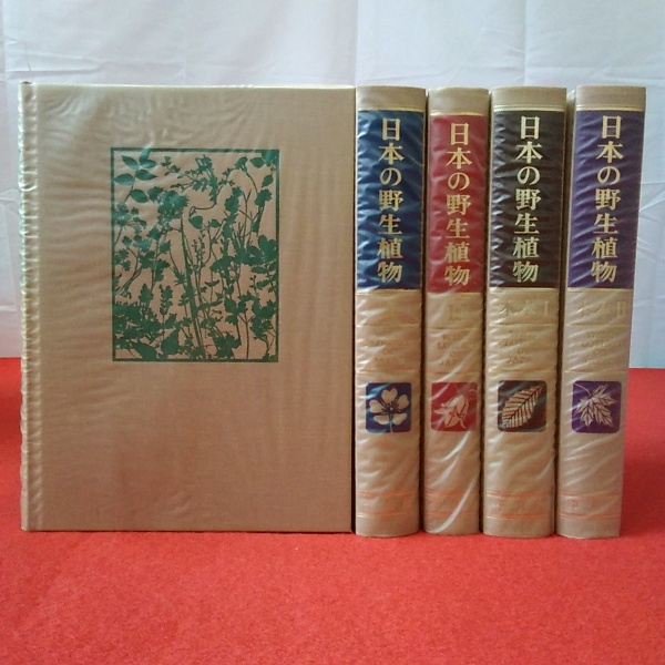新装版 日本の野生植物 木本 全2巻(佐竹義輔 ほか編) / 古本