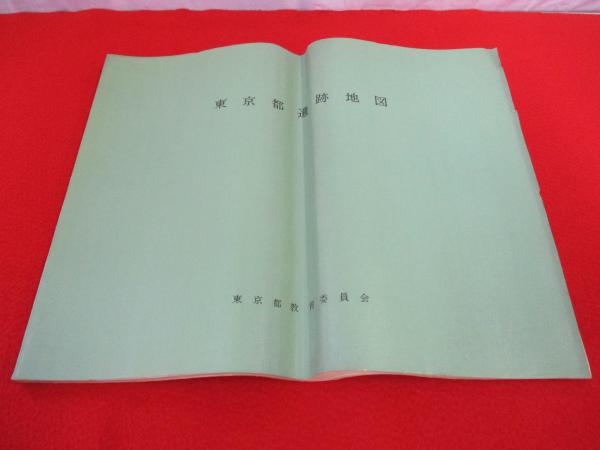 達磨真百態 : 鑑賞と描法(石田豪澄 著) / はなひ堂 / 古本、中古