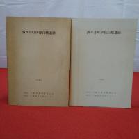 【千葉県】酒々井町伊篠白幡遺跡 本文編 図版編 2冊セット