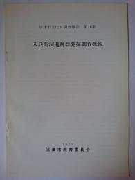 八兵衛洞遺跡群発掘調査概報 ＜沼津市文化財調査報告 第16集＞