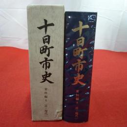 【新潟県】十日町市史 資料編 6 (近・現代 1)