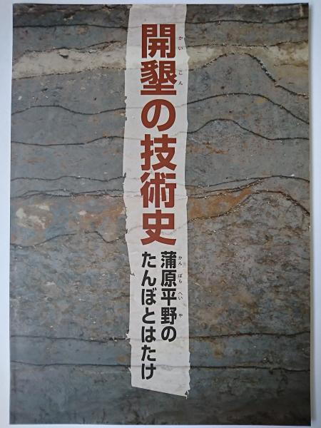 希少図録本文房清玩上 古硯古墨宇野雪村蒐集写真解説104点端渓硯