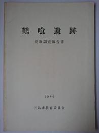 鶴喰遺跡 : 発掘調査報告書