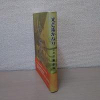 光芒遥かなり : 小説岩瀬忠震