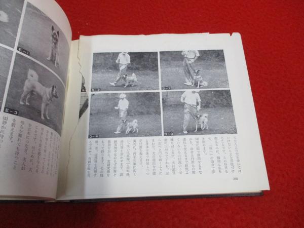 日本犬中小型読本(誠文堂新光社愛犬の友編集部 編) / 古本、中古