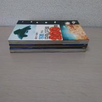 200集シリーズ』 写真でみる空飛ぶ円盤200集＋写真で見る空飛ぶ円盤