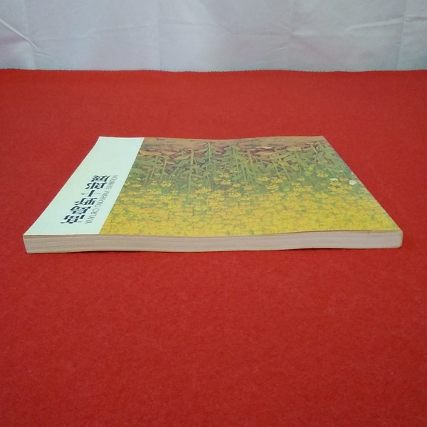 高島野十郎展 図録 1988 朝日新聞西部本社 図録】高島野十郎展(朝日新聞西部本社企画部 編) / 古本、中古本、古