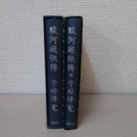 駿河遊?傅　正・続　2冊揃い　