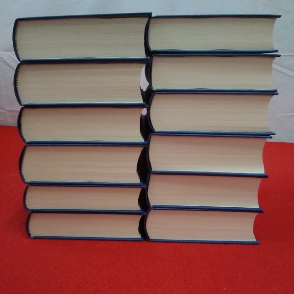 未使用品　昭和天皇実録 全19冊 未使用品 昭和天皇実録 全19冊 昭和天皇実録 第1～12巻 全19巻中12巻