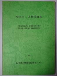 輪島市三井新保遺跡 : 主要地方道七尾・輪島線改良事業に係る埋蔵文化財緊急発掘調査報告書