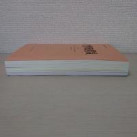 大野田遺跡 第1次調査 ＜仙台市文化財調査報告書＞