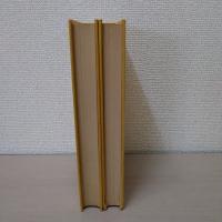 【洋書】　Statistics of Random Processes 1・2 : Applications of Mathematics 5-6　2冊セット