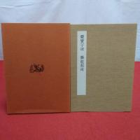 中国石刻大観 精粋篇15 爨宝子碑・爨龍顔碑　