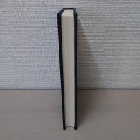 現状維持は退歩なり : 喜多村実先生追悼録