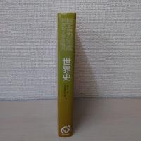 世界史 ＜総合力完成 : 新課程大学受験用＞