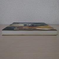 染 : 宮地房江1991