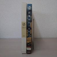 染 : 宮地房江1991