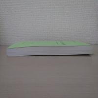 仙台城跡  ＜仙台市文化財調査報告書 第386集＞