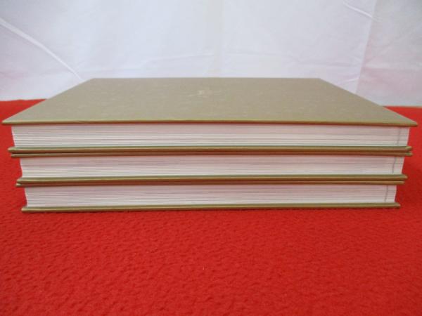 新風中国料理 三冊100.