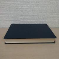 ヒスパーヌス論理学綱要 : その研究と翻訳