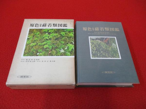 原色 日本 蘚苔類図鑑 服部新佐 岩月善之助・水谷正美共著  280045 原色日本蘚苔類図鑑(服部新佐 監修 岩月善之助, 水谷正美 共著