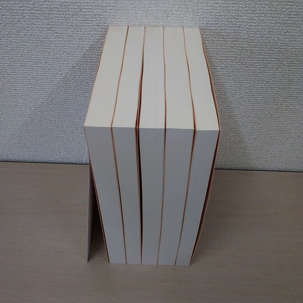 縄文時代 第10号 縄文時代文化研究の100年 全5冊揃い / 古本 縄文時代 第10号 縄文時代文化研究の100年 全5冊揃い / 古本