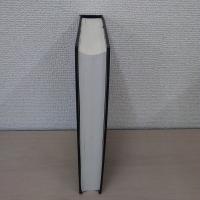 【洋書】　THE LAW OF MARINE INSURANCE