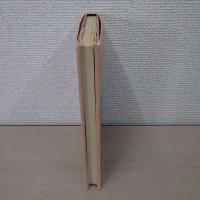 形は語る : 視覚言語の構造と分析 ＜サイエンス叢書 H-2＞