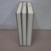 玄沙広録 上中下巻揃い