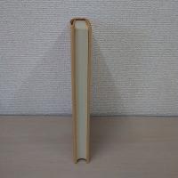 史料纂集 師守記 第10