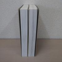 図説盛岡四百年 下巻 1、2　2冊揃い
