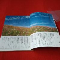私の部屋 1980年 №51 OCT SEIKATSU NO EHON 特集 人形の家 すっきり暮らす 収納の知恵 男たちの部屋