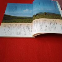 私の部屋 1981年 №57 OCT SEIKATSU NO EHON