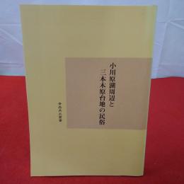 青森県史叢書小川原湖周辺と三本木原台地の民俗