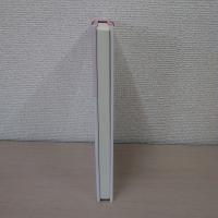 戦国期禁裏と公家社会の文化史 : 後土御門天皇期を中心に