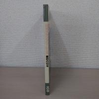 日本グランプリ・レース : 最初の10年