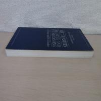 Wittgenstein : Meaning and Understanding