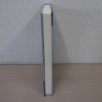 Young Measures and Compactness in Measure Spaces