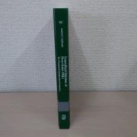 Generalized Solutions of First Order PDEs: The Dynamical Optimization Perspective (Systems & Control: Foundations & Applications)