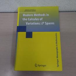 Modern Methods in the Calculus of Variations: L^p Spaces (Springer Monographs in Mathematics)