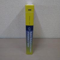 Modern Methods in the Calculus of Variations: L^p Spaces (Springer Monographs in Mathematics)
