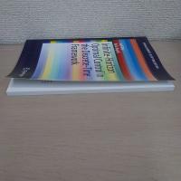 Infinite-Horizon Optimal Control in the Discrete-Time Framework (SpringerBriefs in Optimization)
