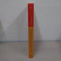 Nonsmooth Vector Functions and Continuous Optimization (Springer Optimization and Its Applications、 10)