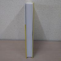 Functional Analysis、 Calculus of Variations and Optimal Control (Graduate Texts in Mathematics、 264)