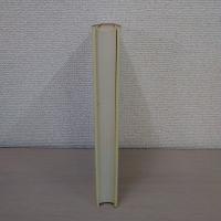 建築の空間 : 近代建築運動の理論と歴史における新しい理念の展開