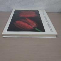 FARBPHOTOGRAPHIEN　【洋書】