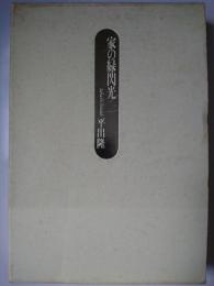 家の緑閃光