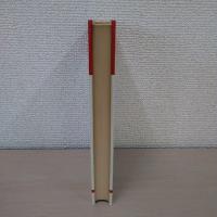 アフリカの宗教と哲学 ＜りぶらりあ選書＞ 新装版