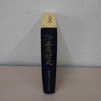 伊平屋村史